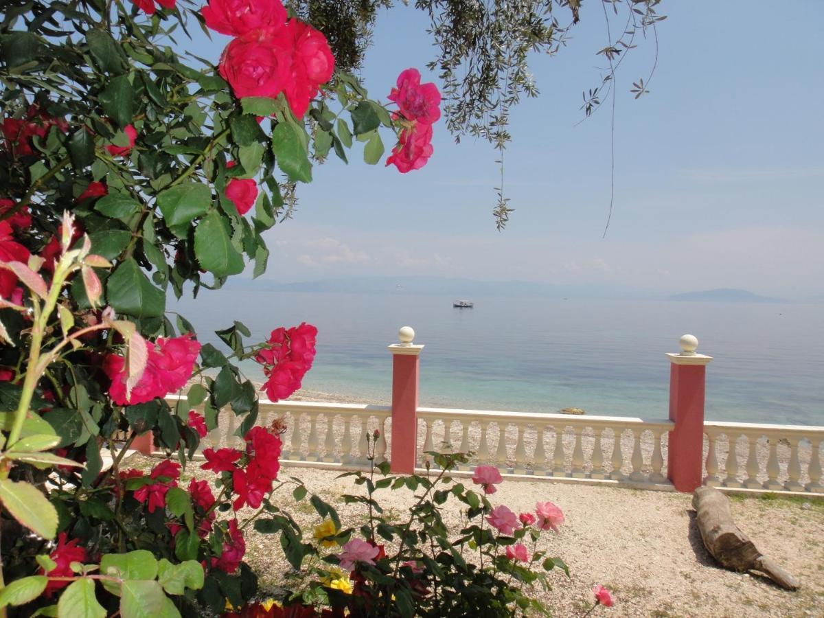 Apartments Corfu Sun Sea Side ベニテス エクステリア 写真