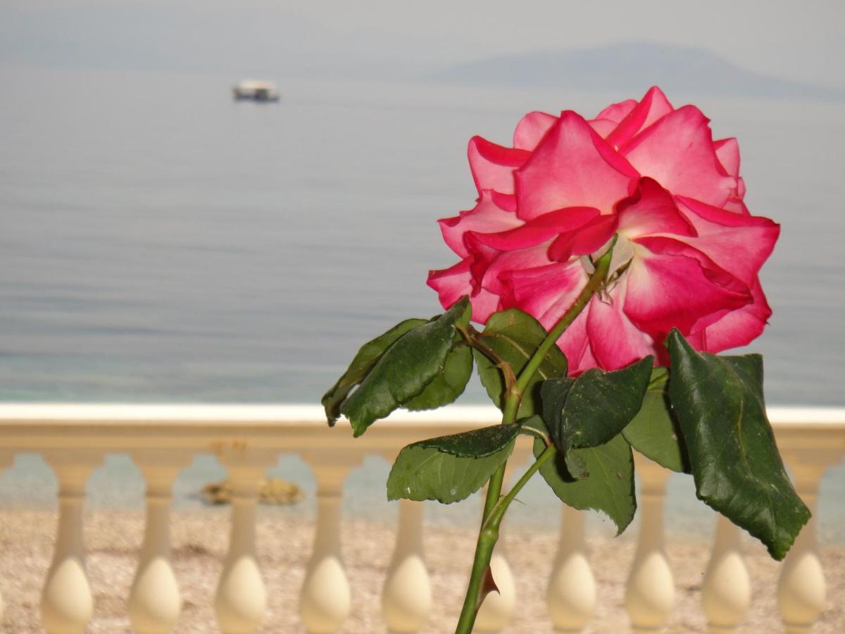 Apartments Corfu Sun Sea Side ベニテス エクステリア 写真